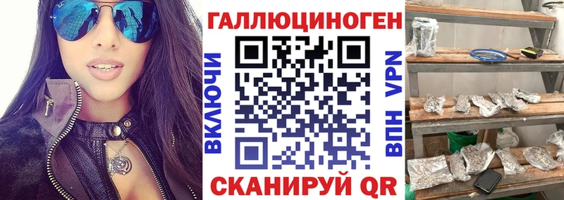 Галлюциногенные грибы Cubensis  Купить закладки  Железногорск-Илимский 
